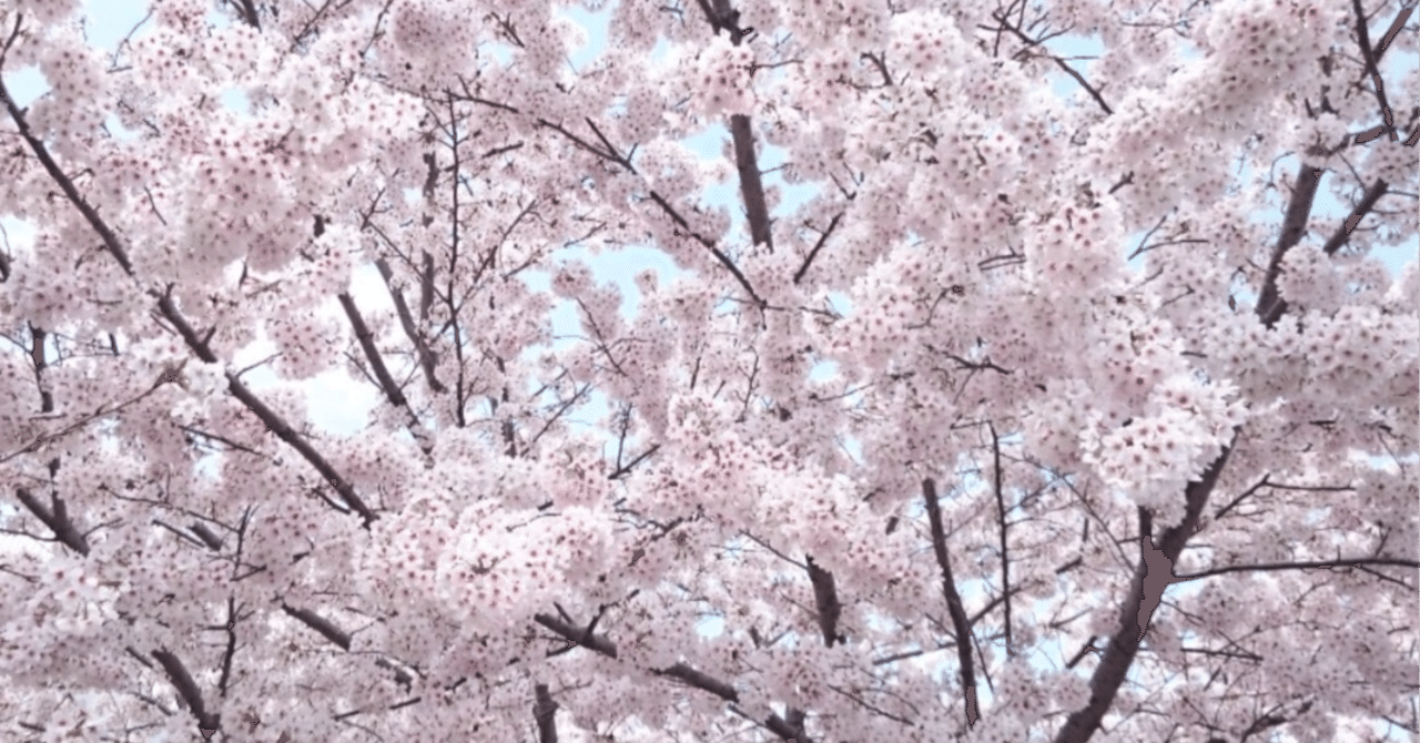 情報発信について｜辺野古ボート転覆事故遺族メモ