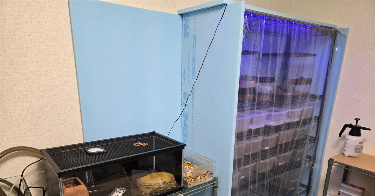 爬虫類温室DIYの電気代はいくら？25匹飼育のリアルな維持費を公開 