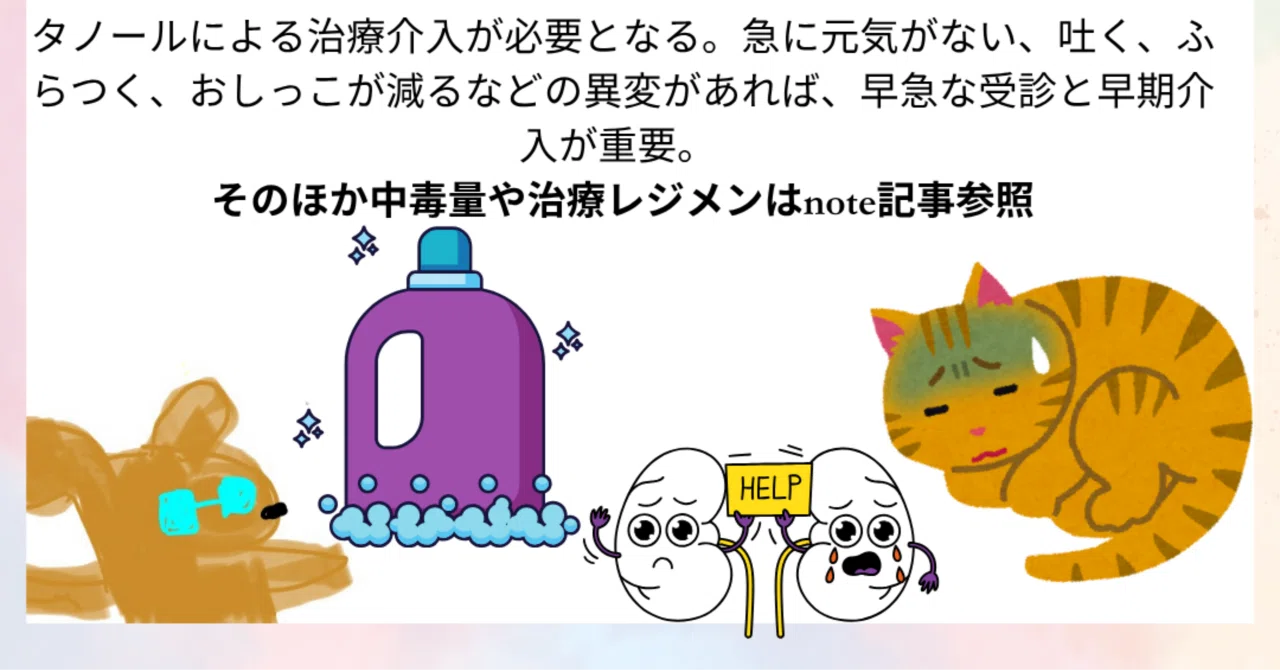 猫中毒 猫中毒｜NEWS｜ELOV-Label