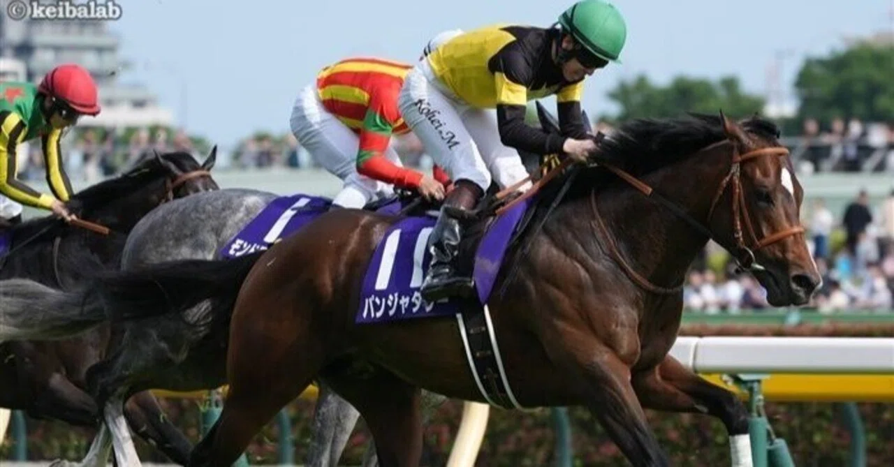 高松宮記念2026予想🏇 ── 今年は「枠」で買う｜渋谷で働く新米