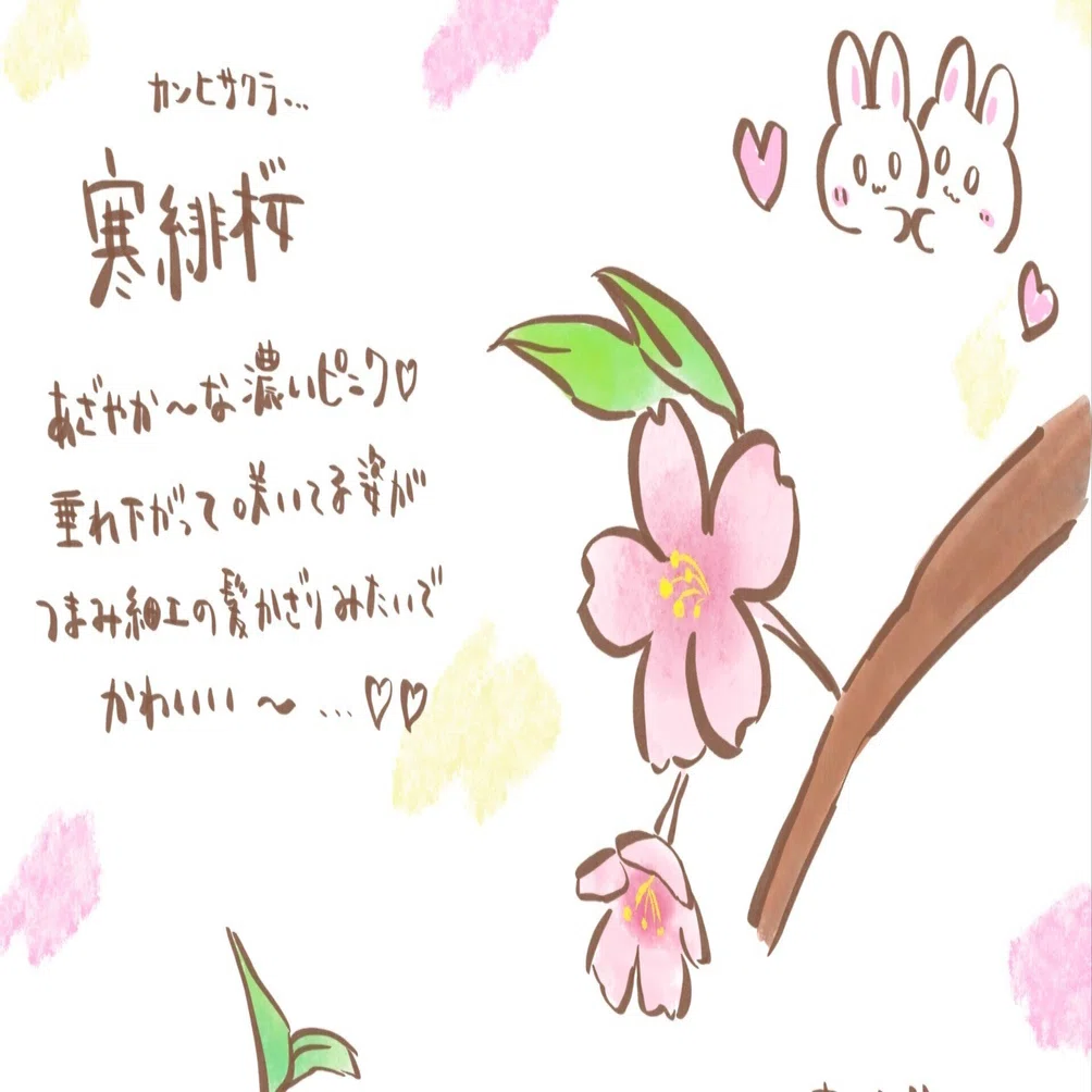 春は桃色ですか？｜イラスト制作・昴