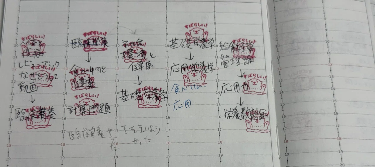 管理栄養士国家試験の勉強法 超基礎編 〜既卒者向け〜｜はまち