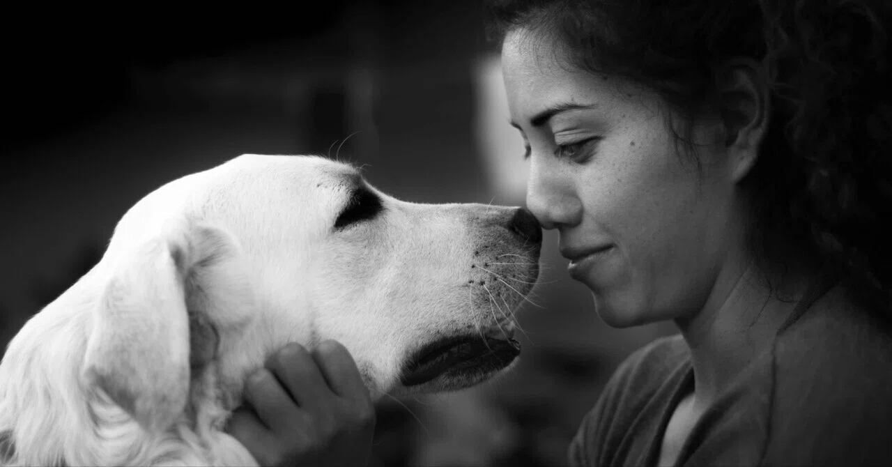 最新｜犬と暮らすがん患者は生存率が高い：約5.5万人の大規模データが示す可能性