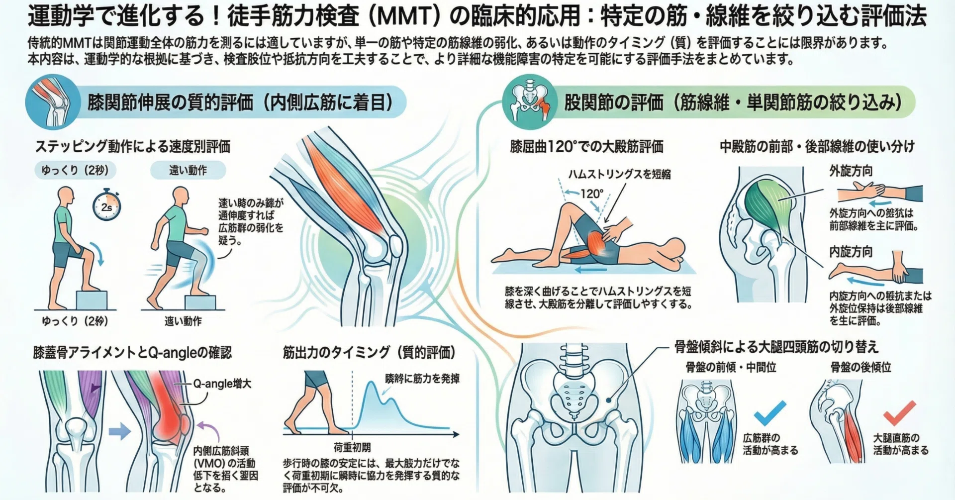 MMTの常識を疑え】「筋力はあるのに歩けない」の謎を解く、運動学に