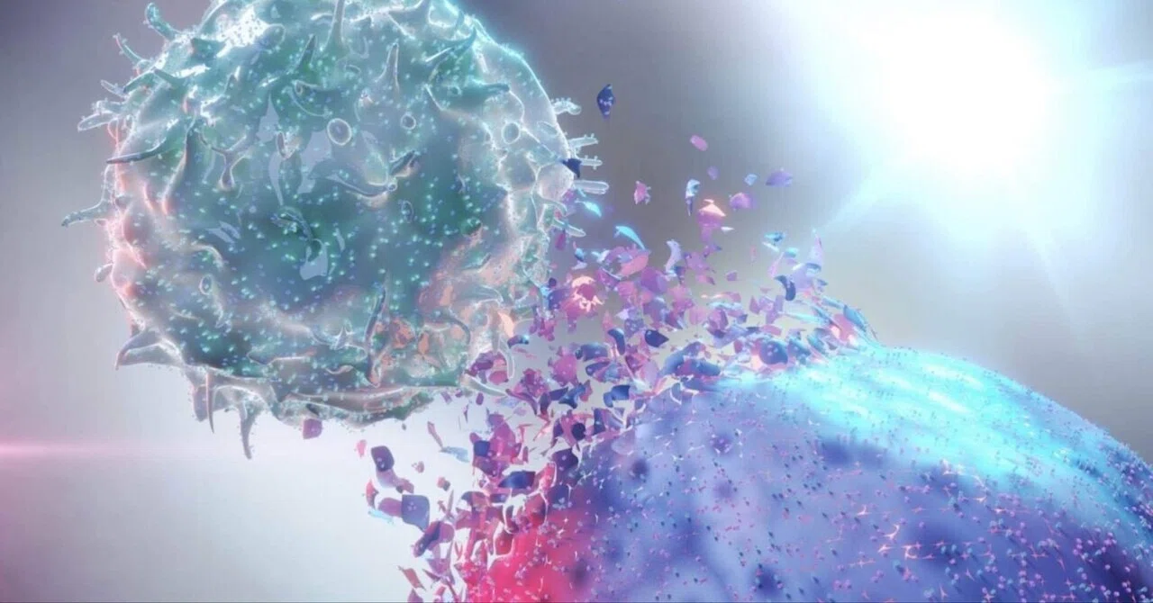 最新｜ビタミンB2のもうひとつの顔：がん細胞の生存を助けている可能性