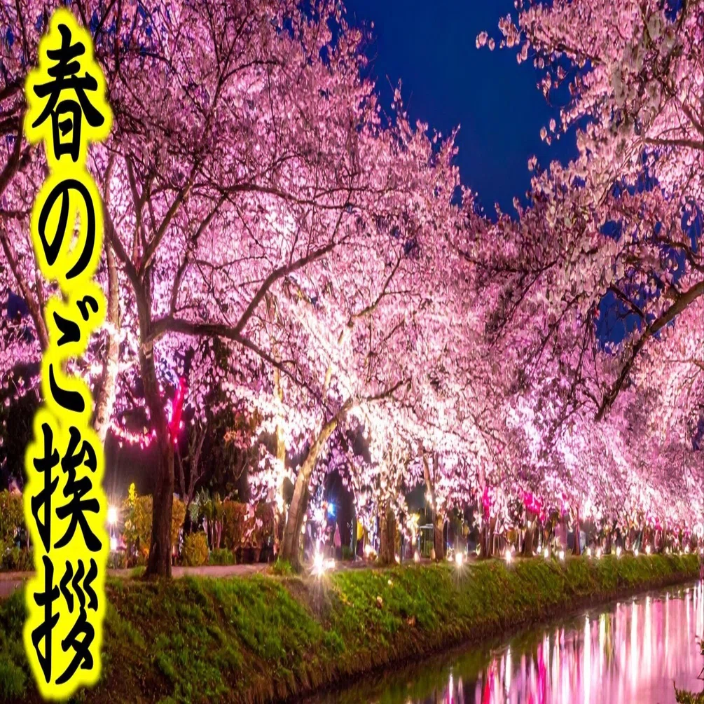 春の挨拶動画】癒しの夜桜をLineで送るカード｜Art.Kaede