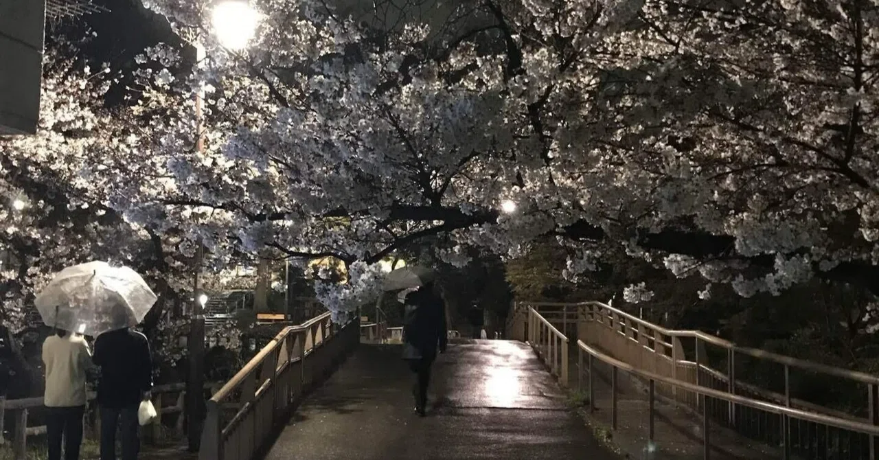 夜桜】2019年頃の井の頭恩寵公園。広い敷地と池を散策｜あだち