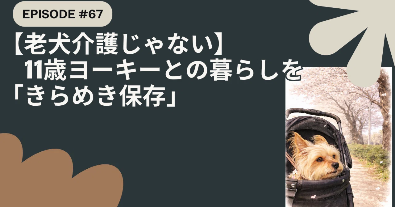 雪だるまwith♡ポメちゃん、ヨーキーちゃん、etc.オーダー受付ページ 雪だるまwith♡ポメちゃん、ヨーキーちゃん、etc.オーダー受付ページ