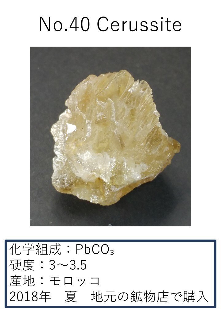 No 40 セルサイト 甘水 甘 Note