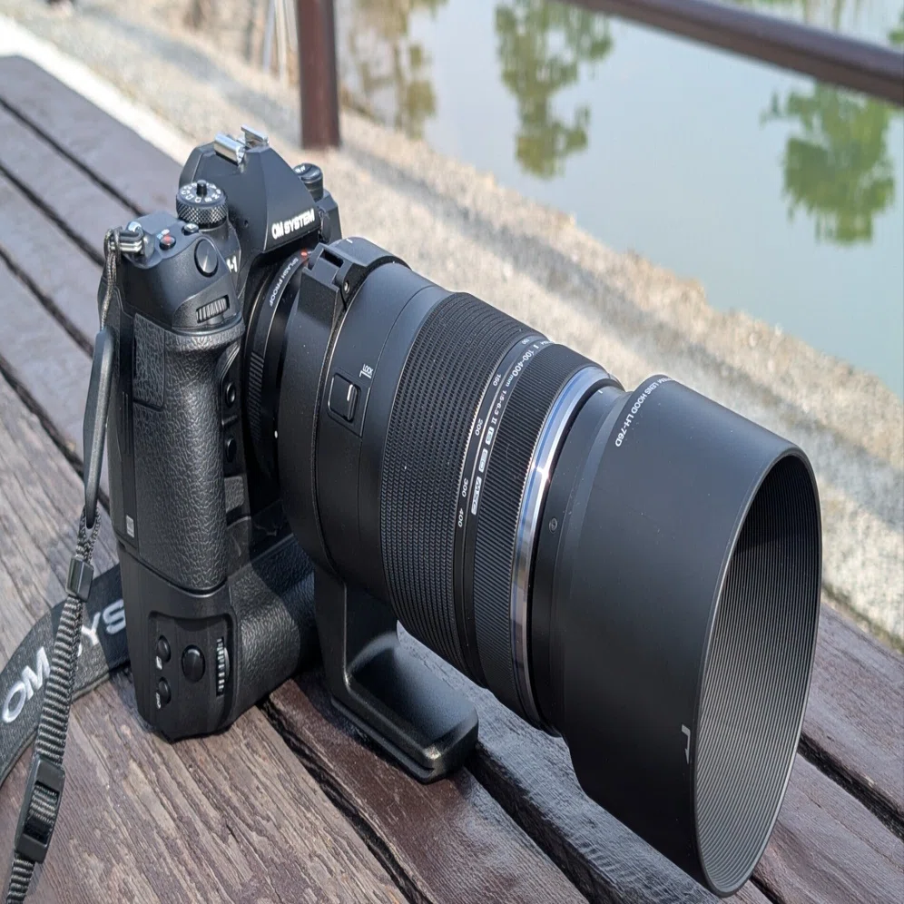 M.ZUIKO 100-400mm F5.0-6.3Ⅱで 野鳥撮影（レア度0の野鳥さんたち 
