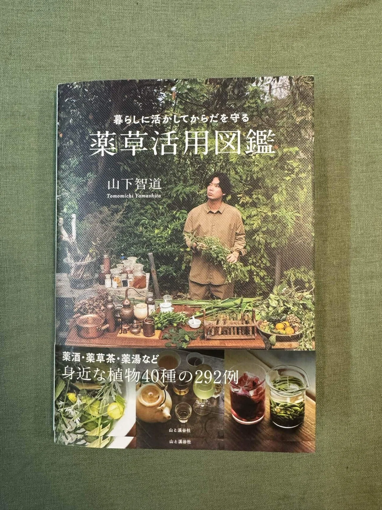 ハーブ王子🌿山下智道さんと学ぶ野草と樹木｜Kiidakeの森🌲