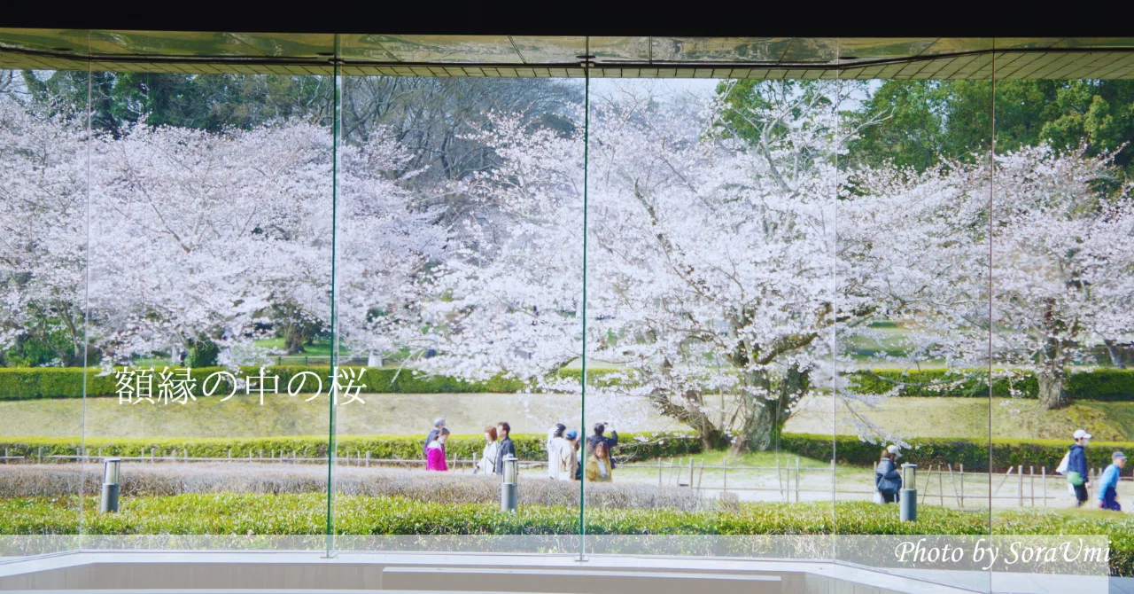 桜のある風景｜額装された桜｜SoraUmi｜そらうみのエソラゴト