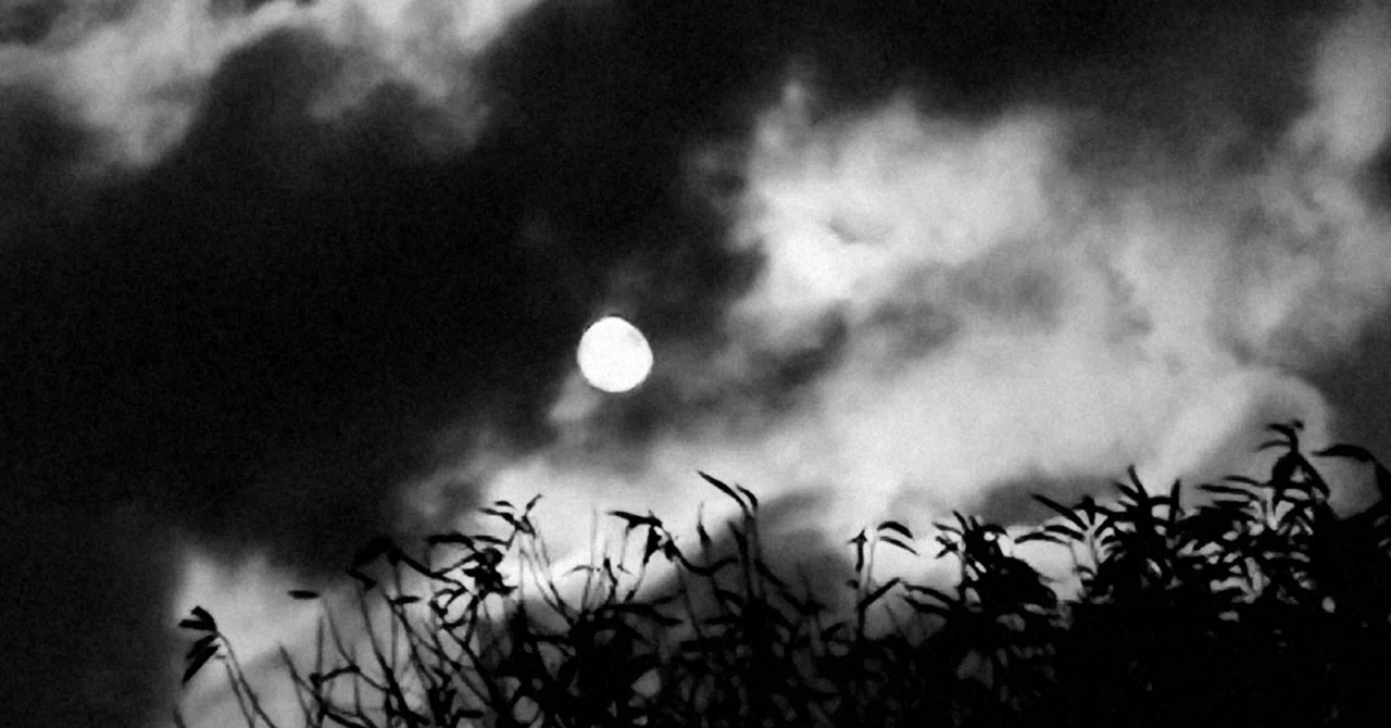 【詩】漆黒の闇夜|黒羽 白羽