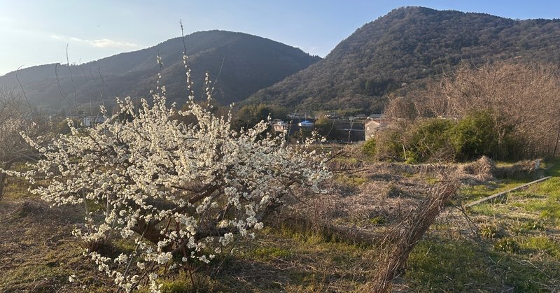 「いくら金があってもなぁ………」とおじいちゃんがつぶやいた日。