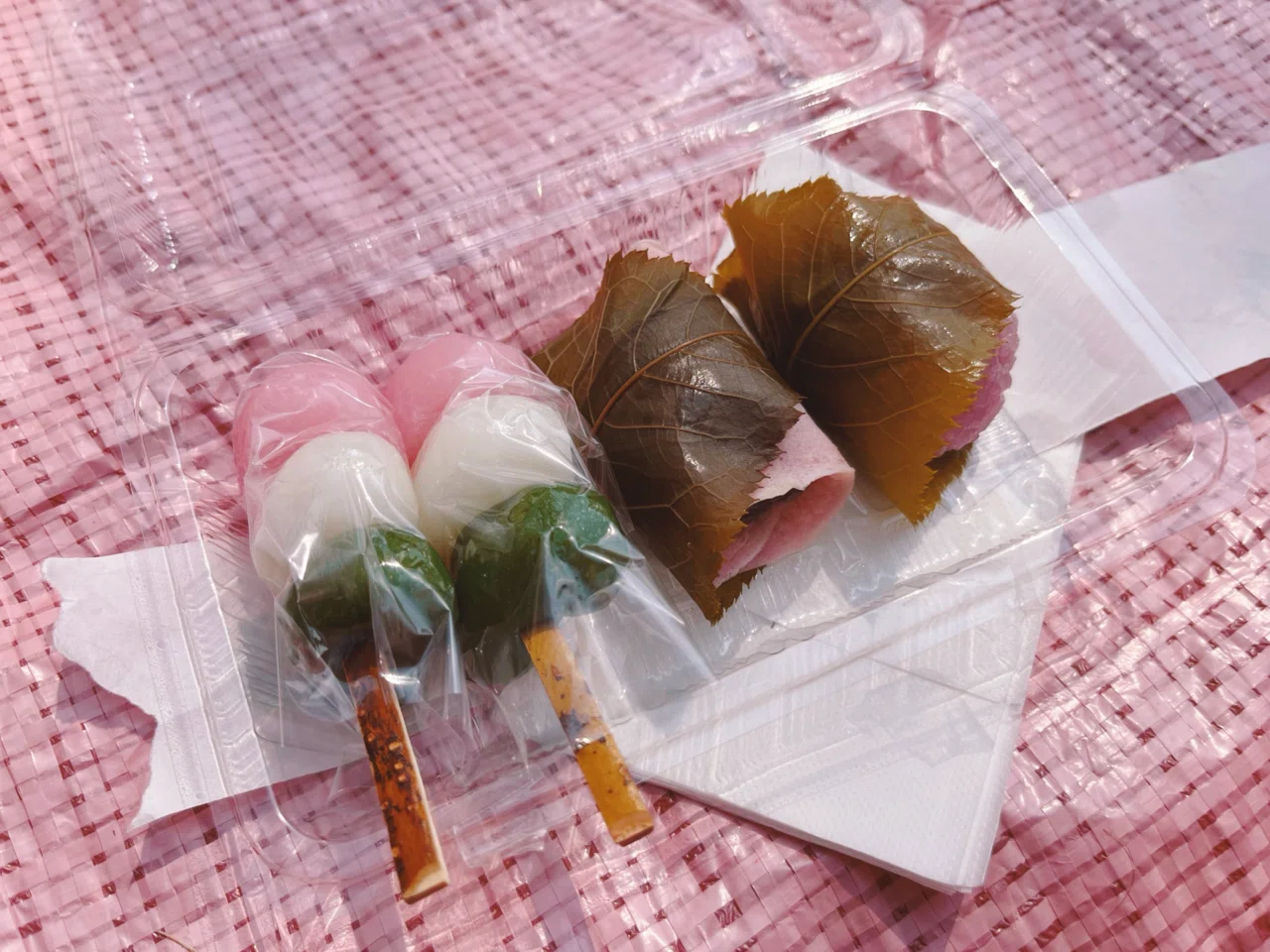 お独りさま日記20260322-0328｜桜もち子