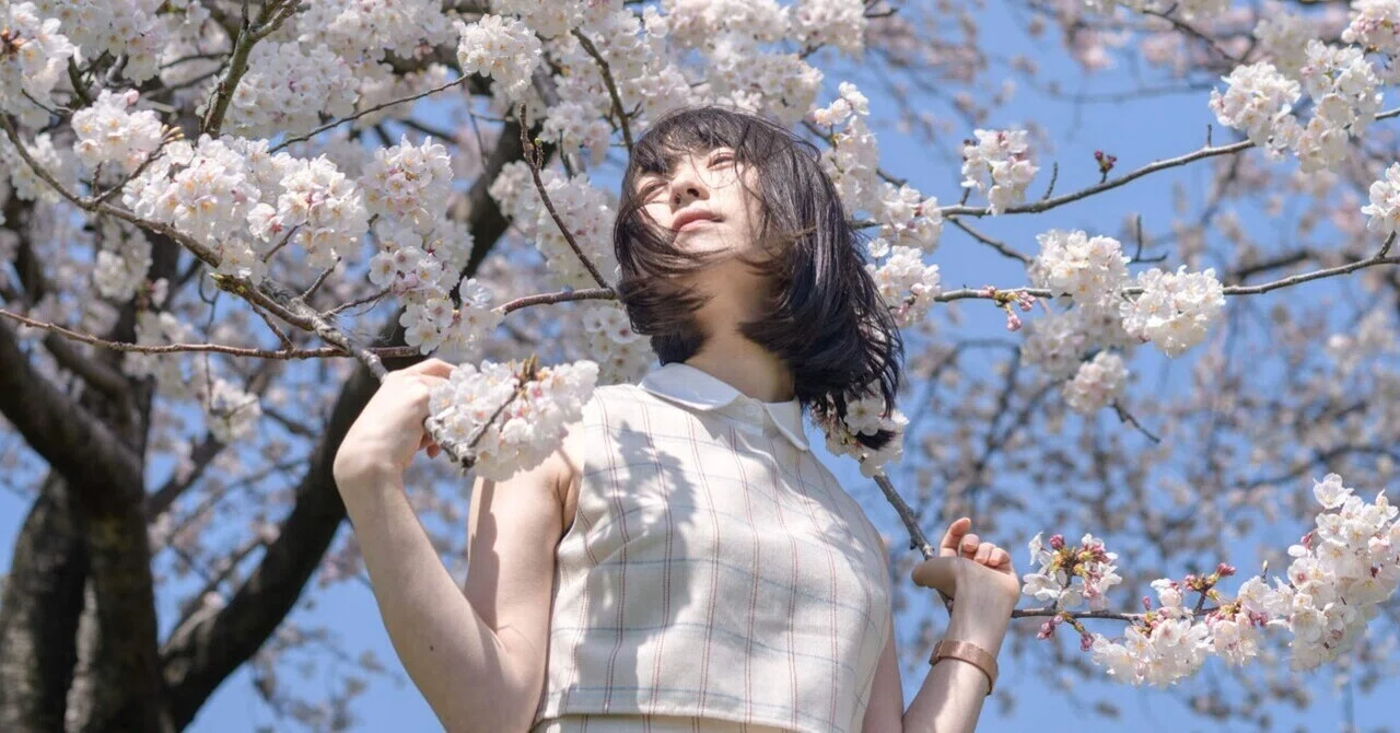 桜の季節の撮影｜Rito