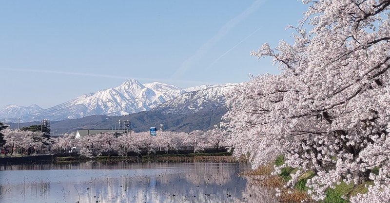 イベント「桜とクラフトビール 2026」開催します!