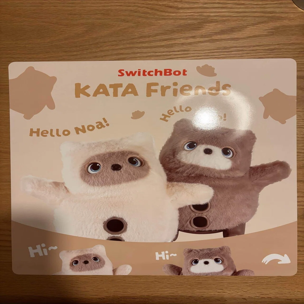速報レポ｜KATAフレンズを買って5日目、感想とわかったことを全部書く｜R.O