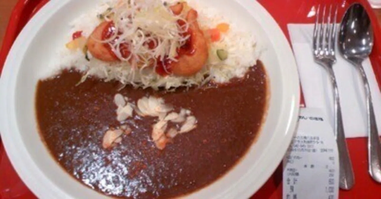 今日のカレーライス 2009年10月の日記｜しょっぽ