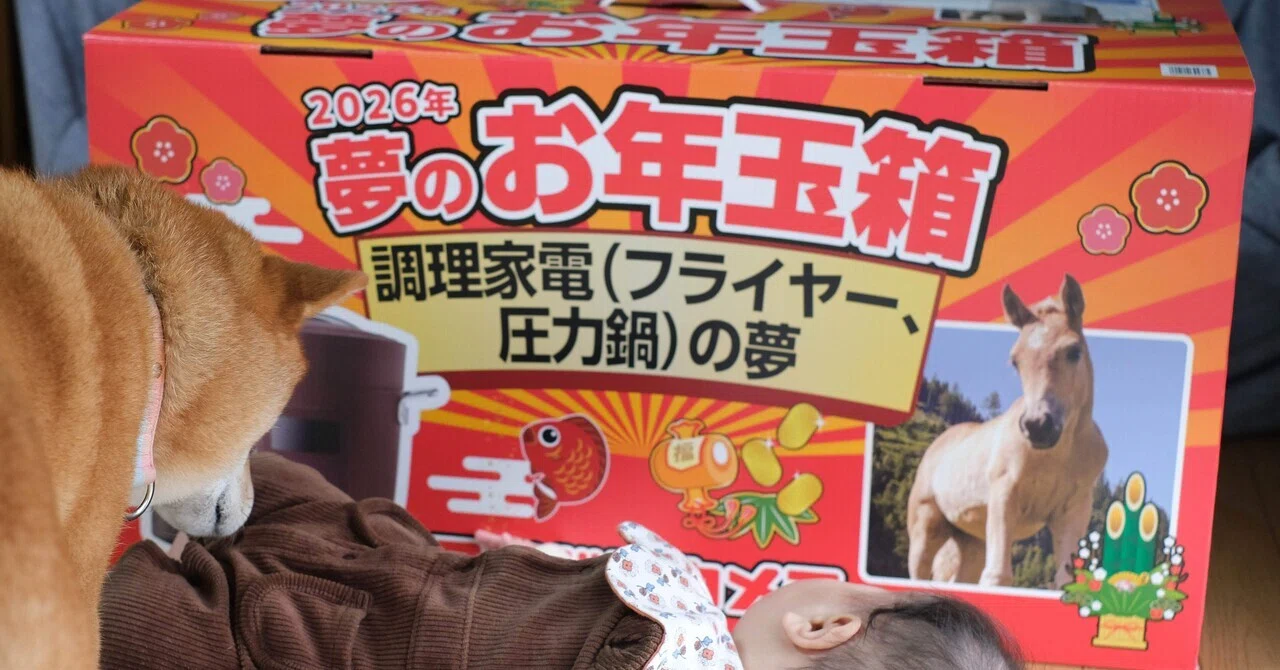 ヨドバシカメラ　夢のお年玉箱　調理家電（ノンフライヤー、電気圧力鍋）の夢 m68620197088_1.jpg?1767025682