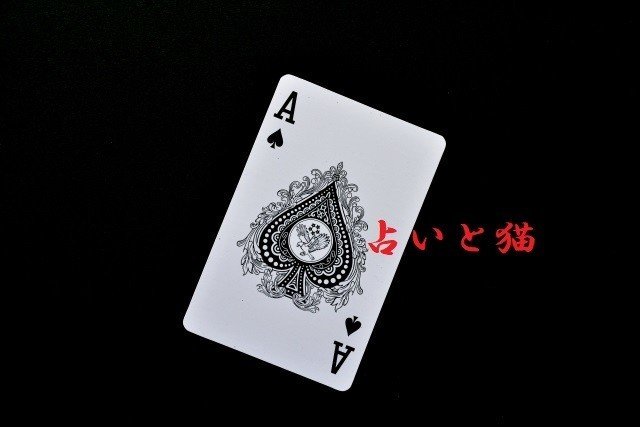 祟る土地 居座る霊 加藤一 忌 怖い話 小祥忌 5 28発売 Takeshobo Books Note