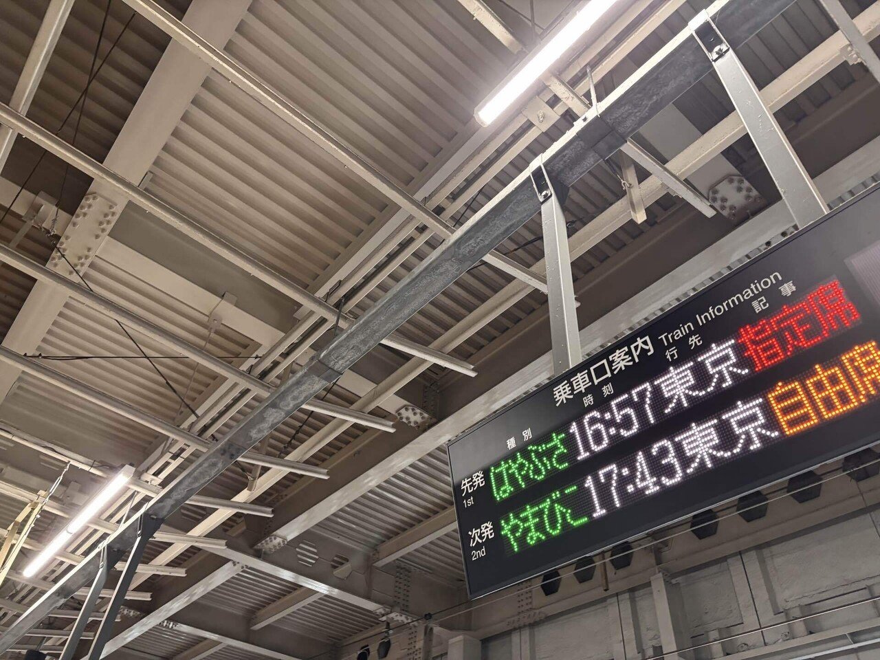 37歳、サウナの日。人生で一度きりの“無料招待”に乗って、関東名門
