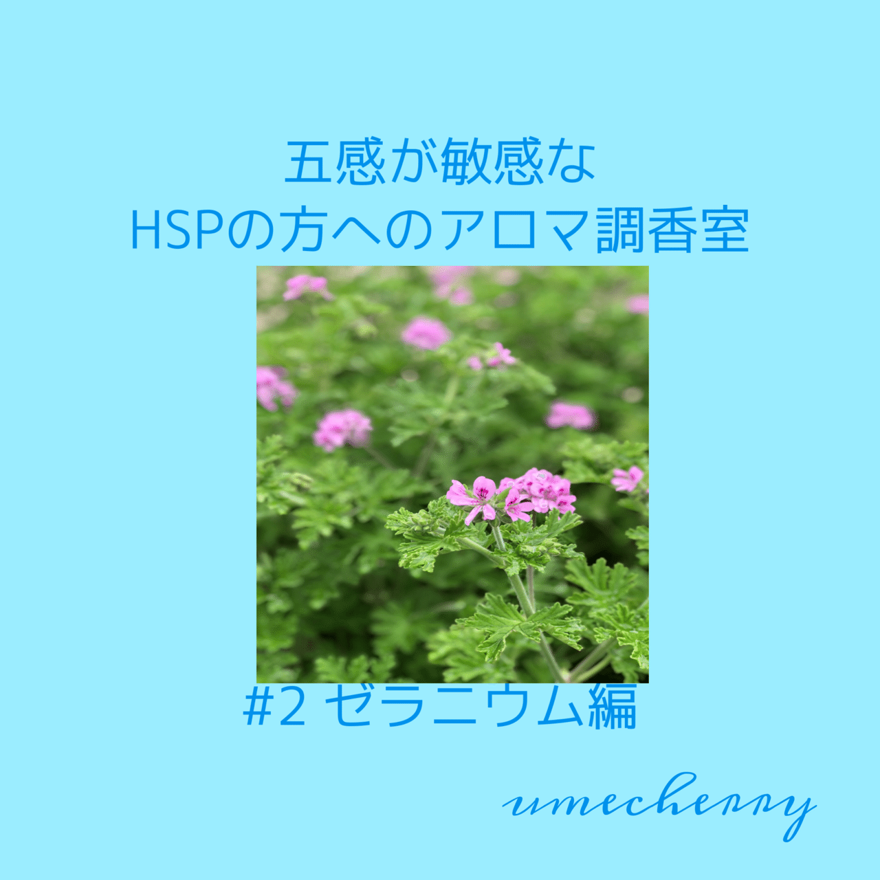 五感が敏感なhspの方へのアロマ調香室 ゼラニウム編 Umecherry Note 五感が敏感なhspの方へのアロマ調香室 ゼラニウム編 Umecherry Note