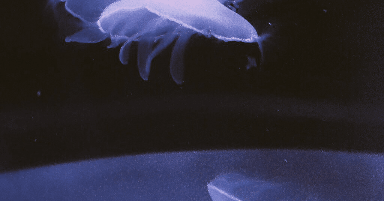 クラゲメモ ミズクラゲ すずき まさえ Note