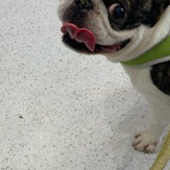 センター倫理の問題文を、現代文読解のトレーニング教材に活用しよう