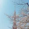 一海　穂希