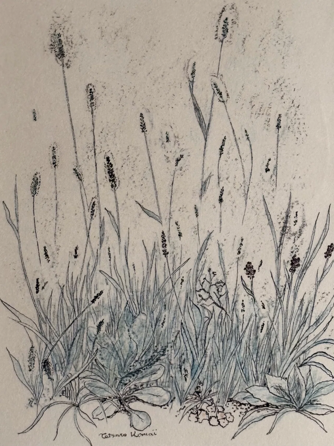 駒井哲郎の銅版画｜Crossing Lines
