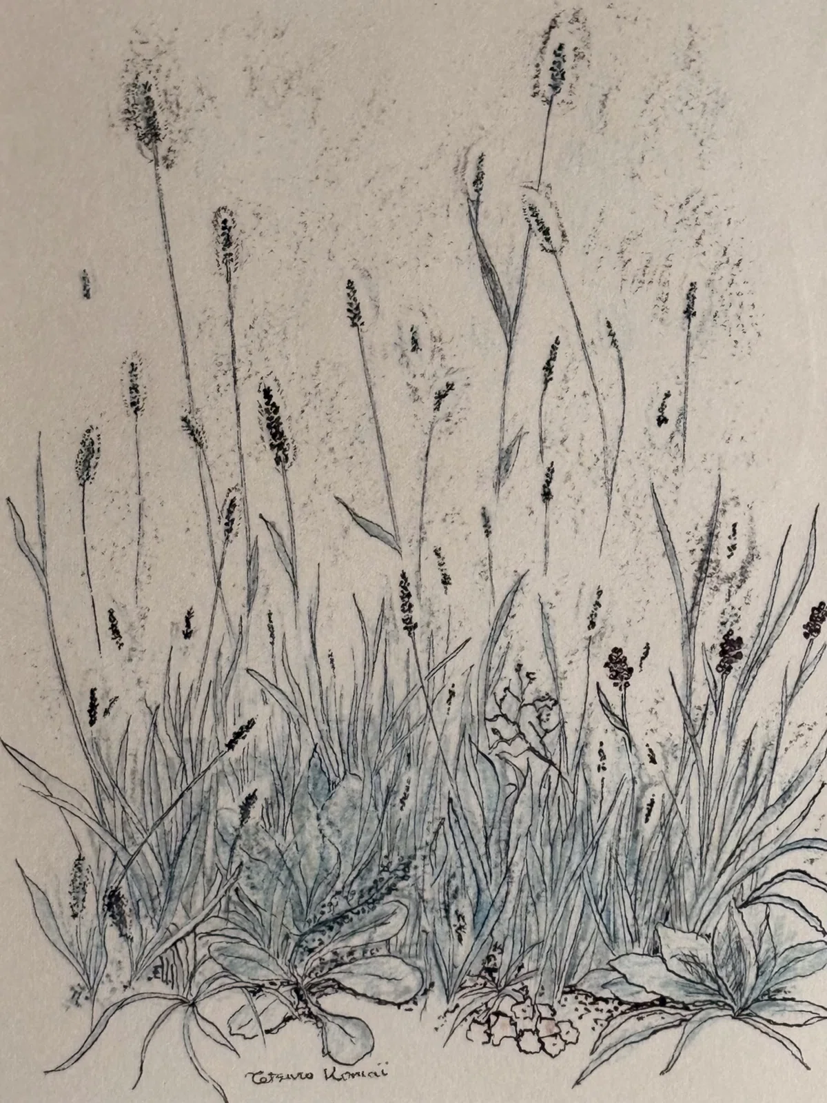 【希少】刻線の自画像　駒井哲郎 駒井哲郎の銅版画｜Crossing Lines