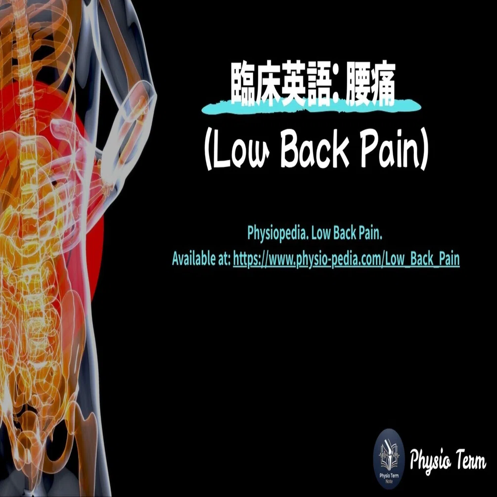 臨床英語: 腰痛 (Low Back Pain)｜Physio Term