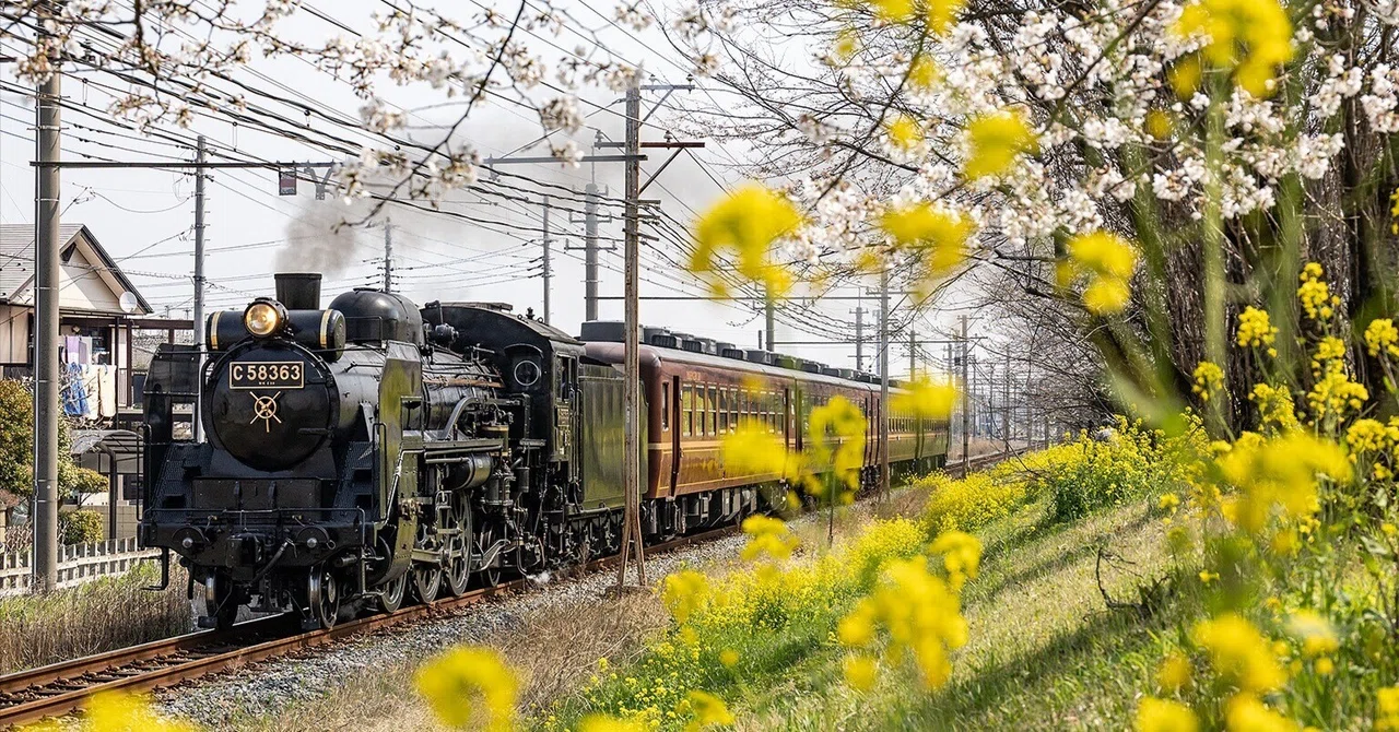 v254, 秩父鉄道：桜とSL （2026年）｜ひろやん
