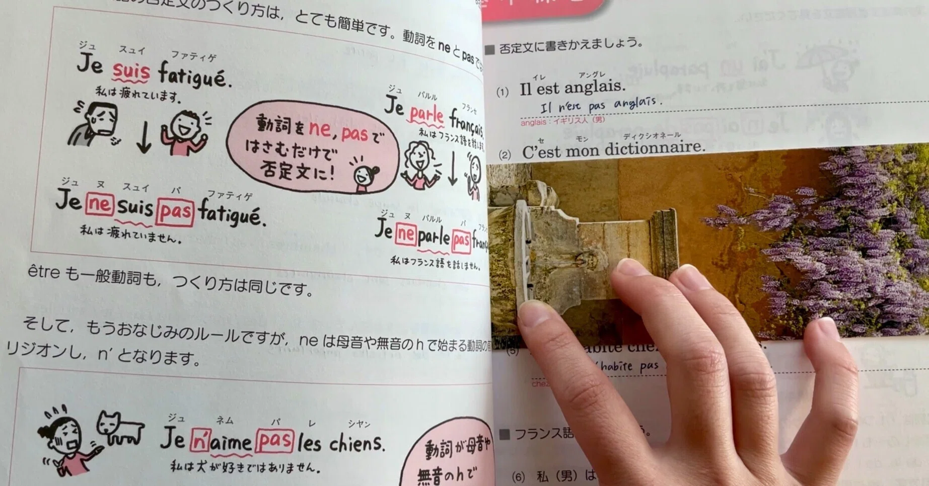 フランス語B2合格までの道のり②2ヶ月でDELF A1(仏検4級)レベル｜komachi