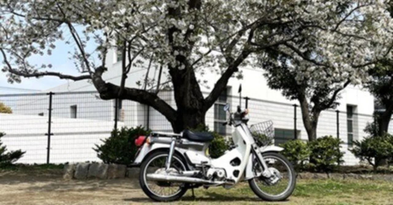 スーパーカブ90の除電チューニング その12｜Tristars-Tec. トライ