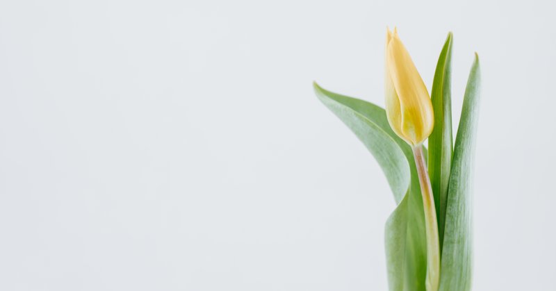 生涯独身 結婚しないという選択 適齢期と言われる時期に 結婚しても しなくても Edamame Note
