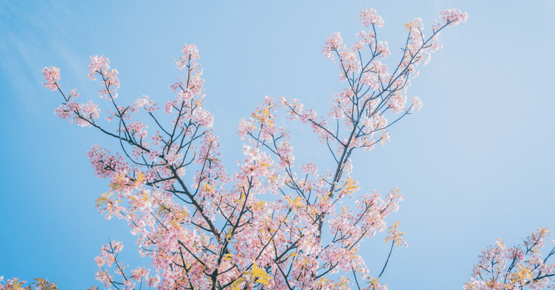 「注意しない保育」は可能か──子どもが自ら動き出す“環境設計” eyecatch