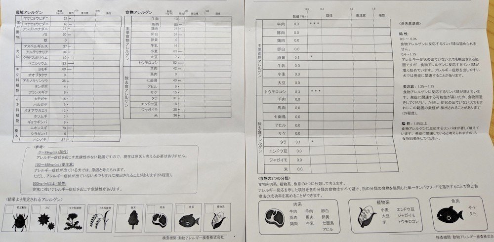 画像29