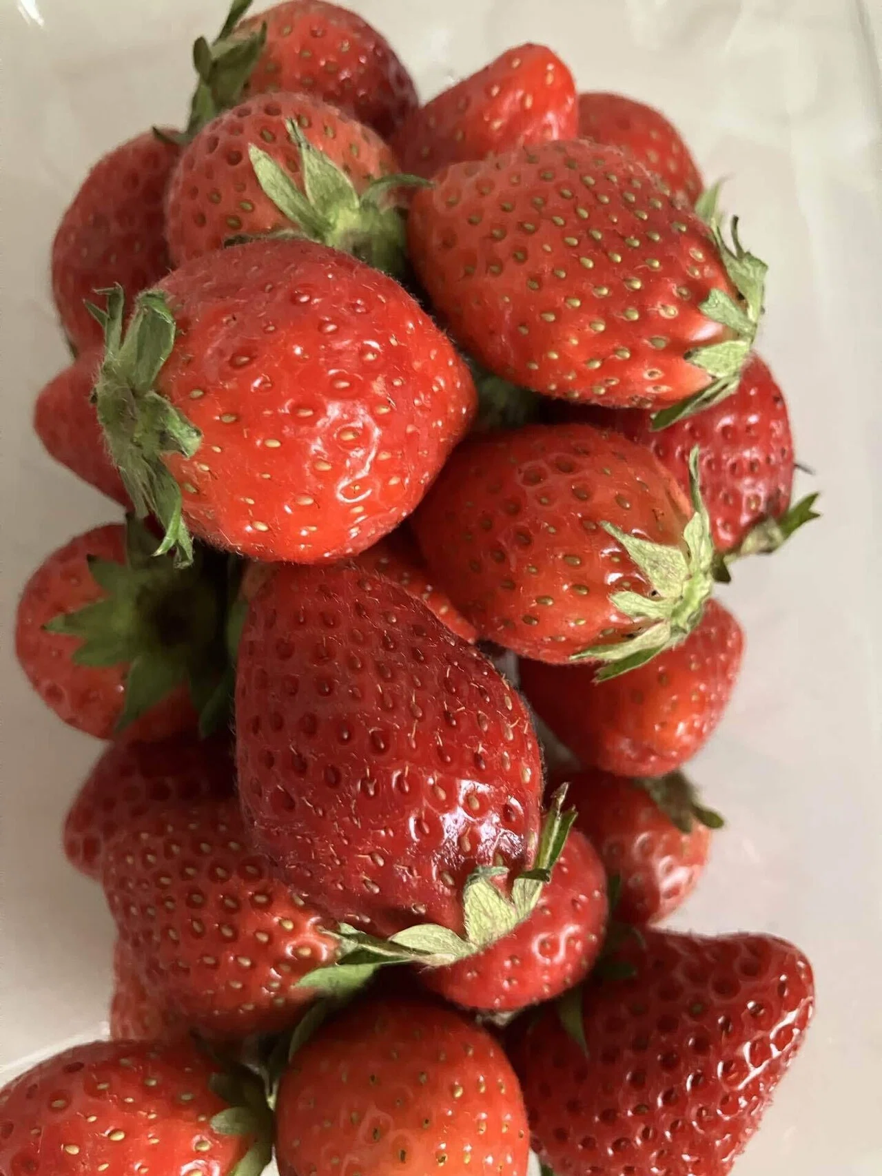 いちご2パック500円⁈春のパーティー開催中🍓｜みきさぶろう