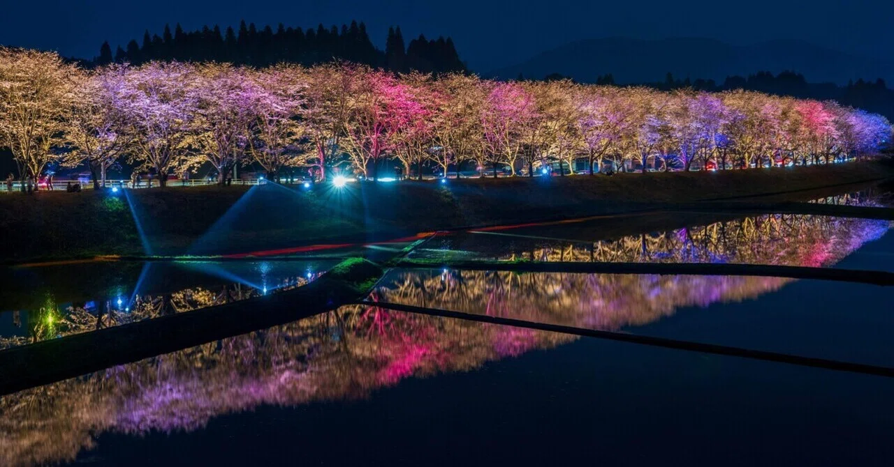 カメラ散歩備忘録20260329湧水町轟地区桜並木ライトアップ｜KuroTatsu