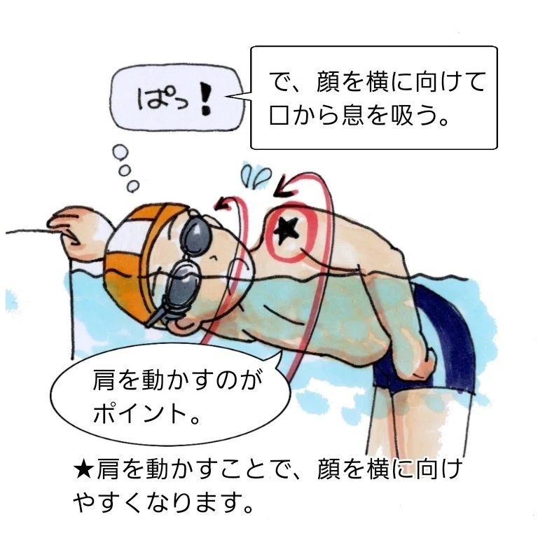 元スイミング スクールコーチの独り言 3本目 ユキノジ Note
