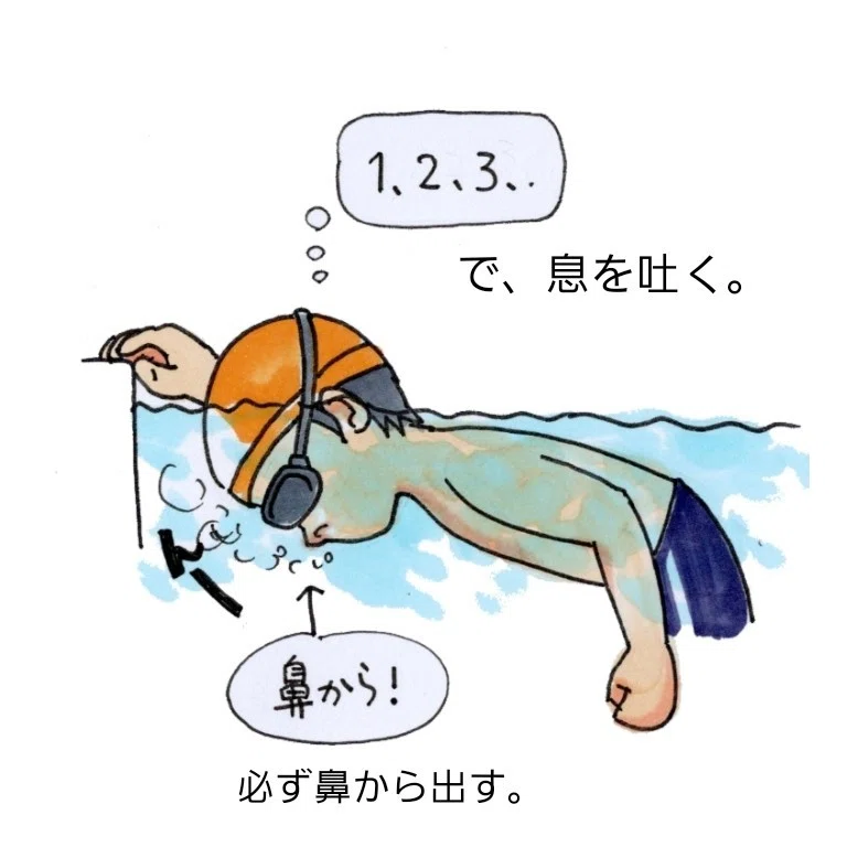 元スイミング スクールコーチの独り言 3本目 ユキノジ Note