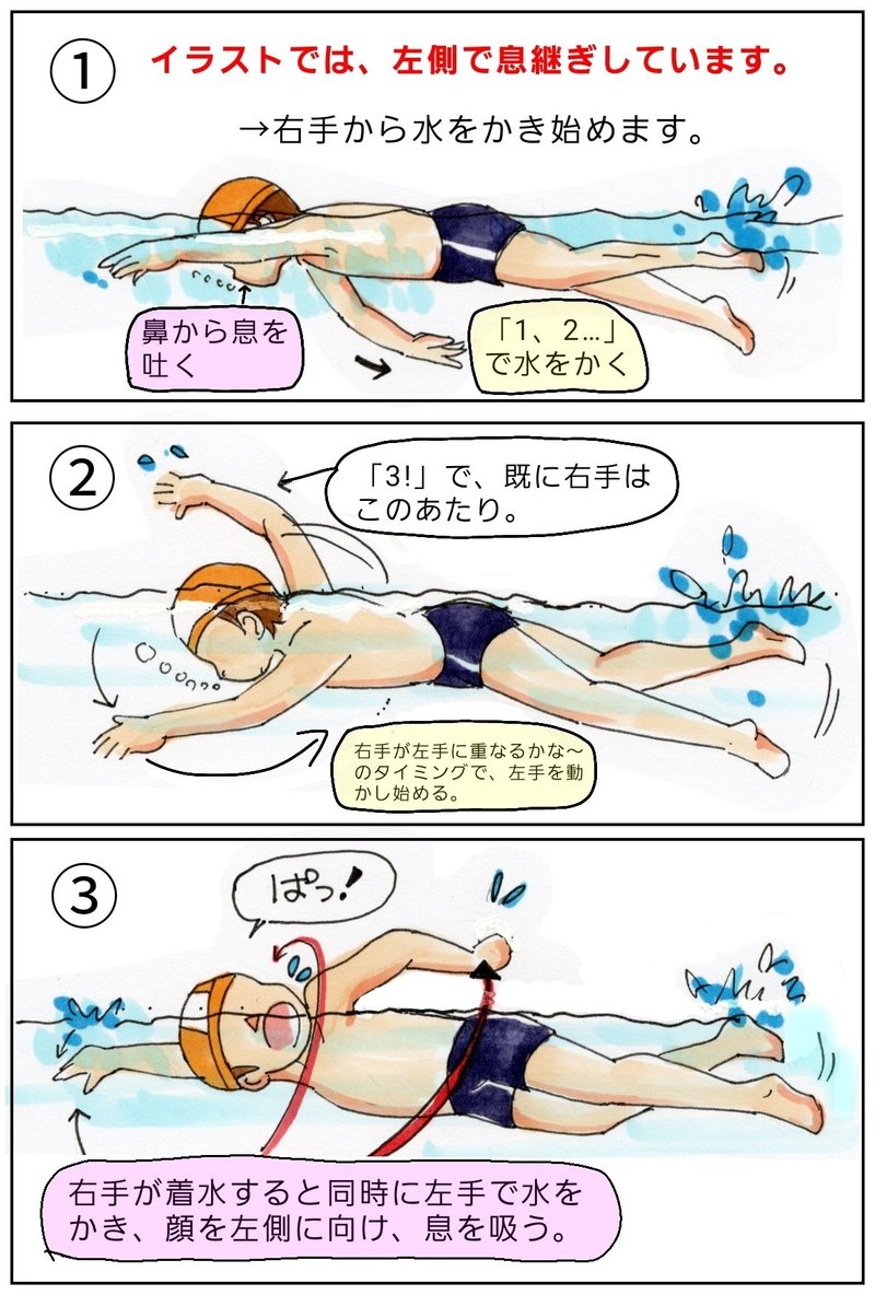 元スイミング スクールコーチの独り言 3本目 ユキノジ Note