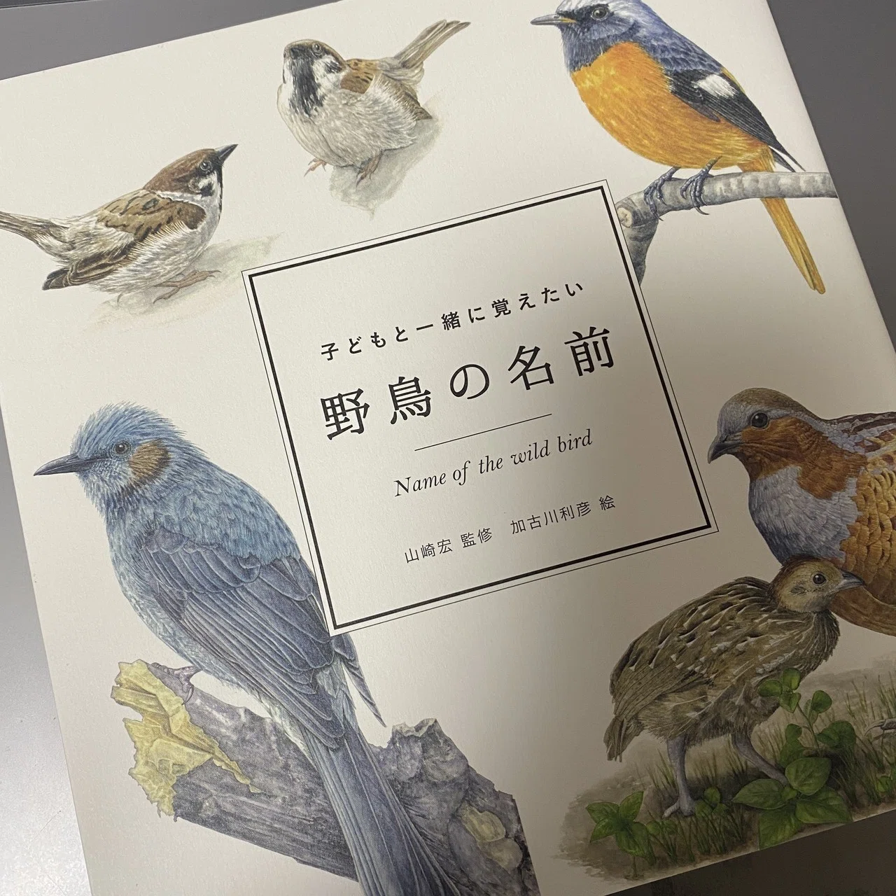 子どもと一緒に覚えたい野鳥の名前｜西アズナブル