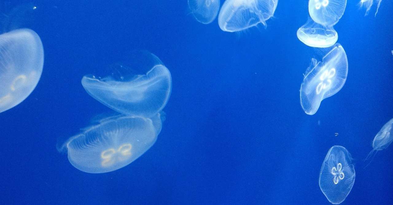 一言英語フレーズ あなたにお任せするよ Aina 語学アカウント Note 一言英語フレーズ あなたにお任せするよ Aina 語学アカウント Note