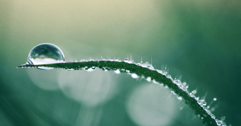 【ミライ通信26年4月号】占いスピリチュアルを仕事にしたい人が、最初に考えておくべき《根底の話》