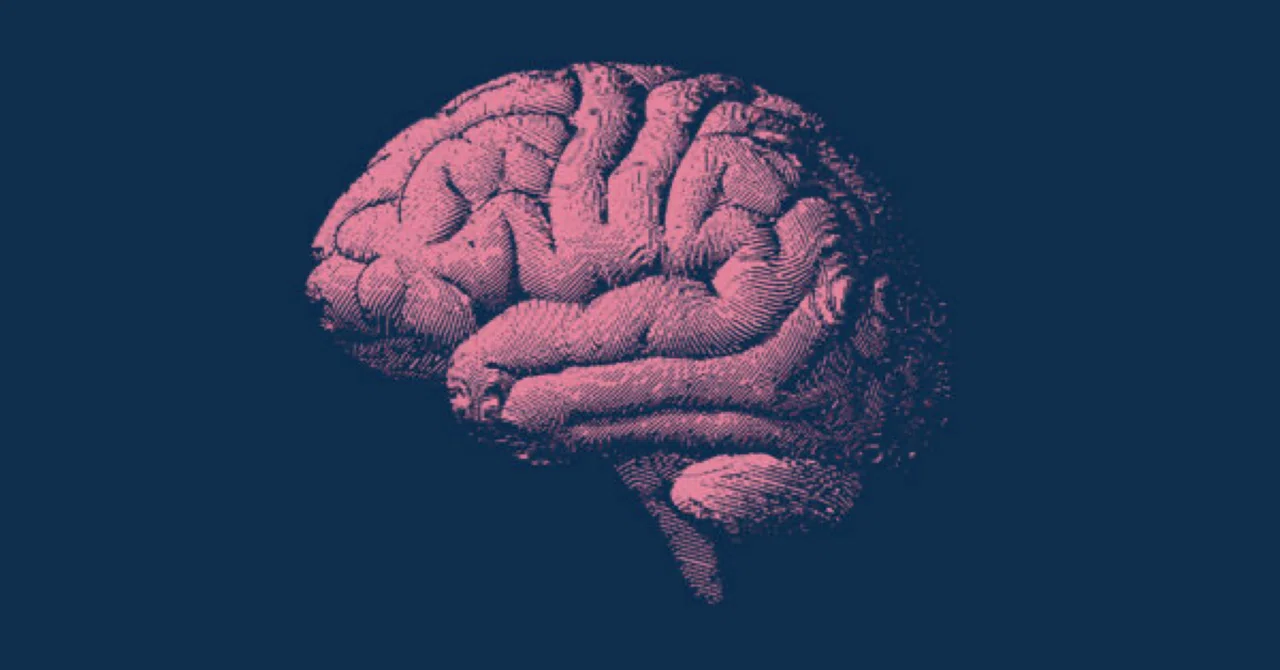 最新｜MIND食が脳の老化を2年以上遅らせる可能性：12年間の追跡調査が示す食事と脳の関係