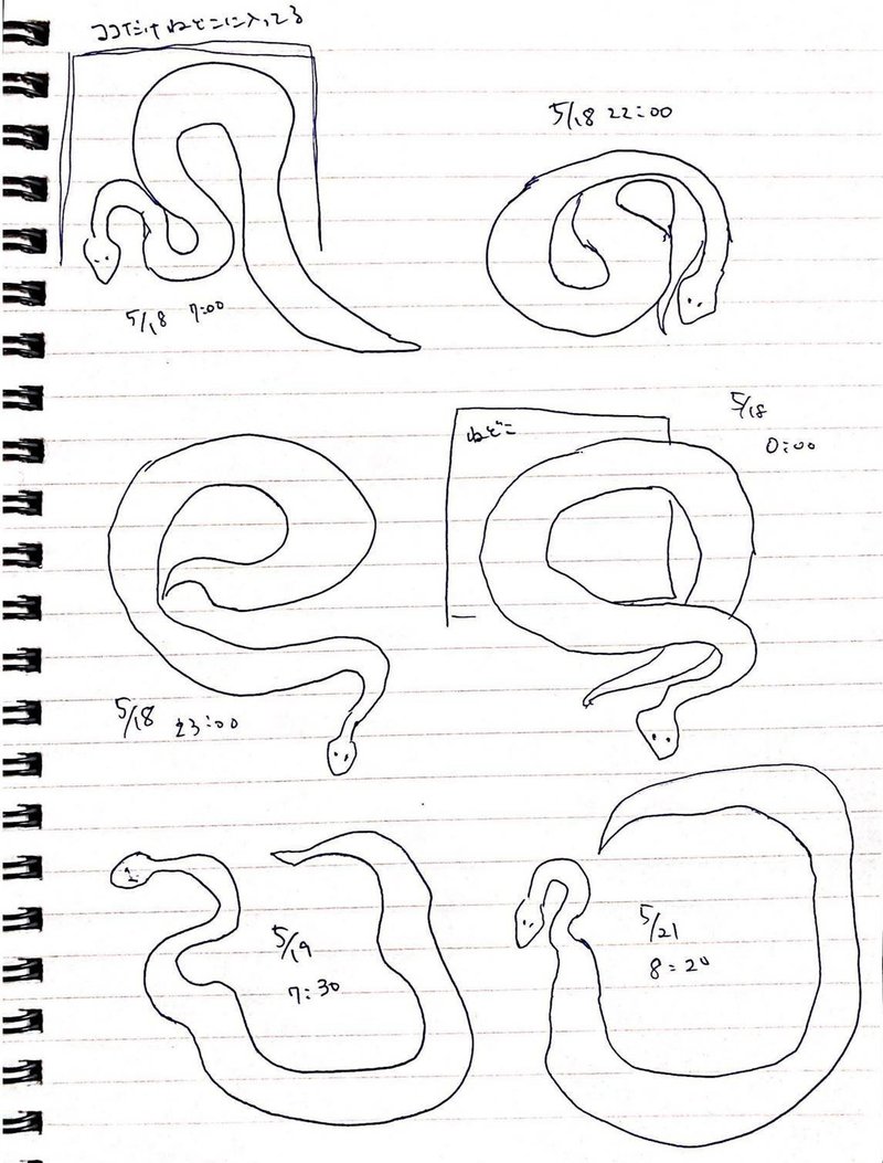 ヘビの巻き方定点観測 焼豚女 Note