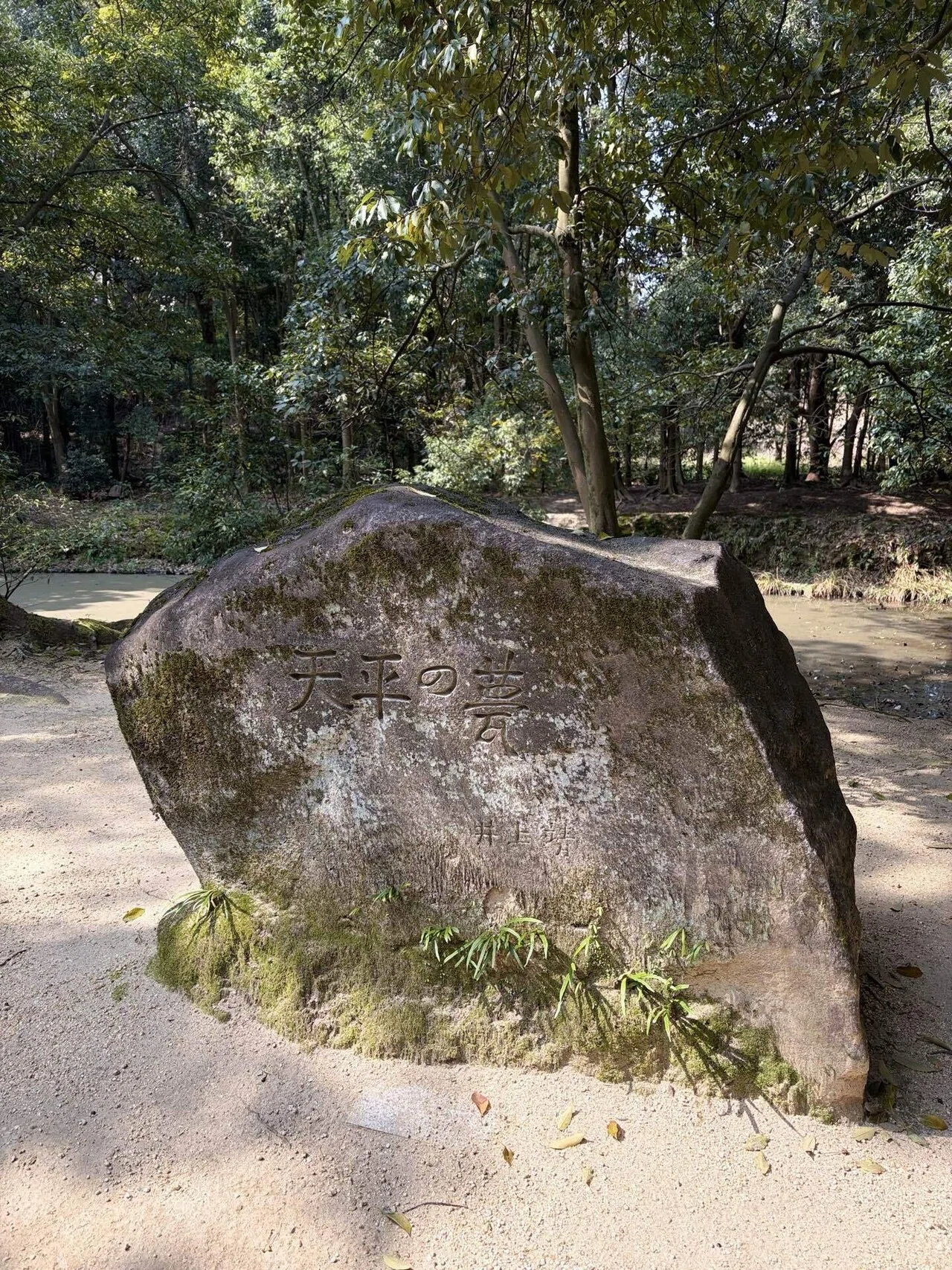唐招提寺 ～五度にわたる渡航失敗の末に来日を果たした鑑真和上～｜Sun-Tah